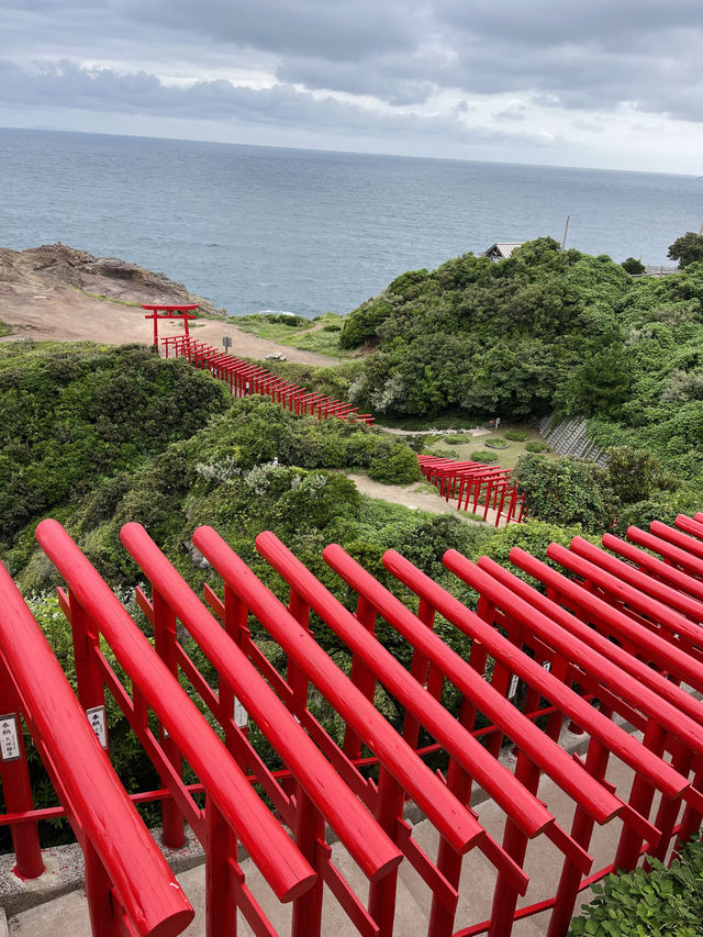 【山口観光】100m続く赤い鳥居のトンネルがある神社⛩