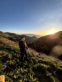 合歡山Hehuan Mountain