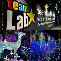 【福岡景點】teamLab森林：夢幻光影，日本必去打卡點