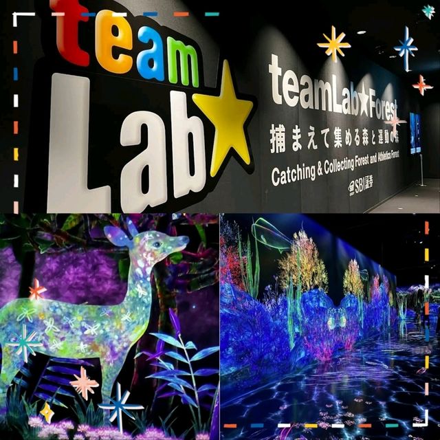 【福岡景點】teamLab森林：夢幻光影，日本必去打卡點