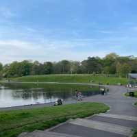 「愛爾蘭都柏林鳳凰公園：自然風光與歷史遺產的綜合性熱門景點」