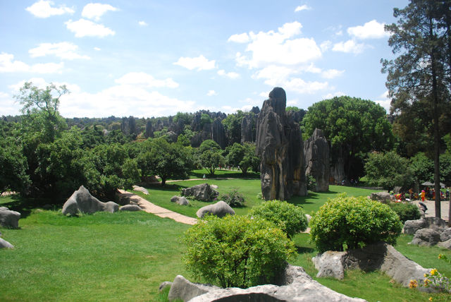 Stone Forest, The Wonder under the Heaven