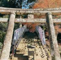 【福岡観光】福岡県添田町にある県内唯一の神宮