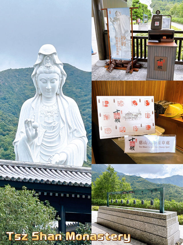Things to Do at Tsz Shan Monastery