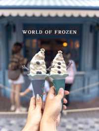Hong Kong Disneyland ❄️WORLD OF FROZEN