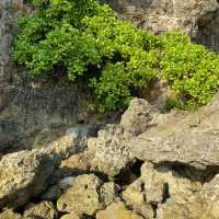 A Hidden Surfing Paradise