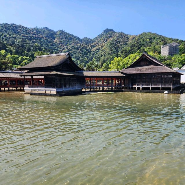 일본 삼대 절경 중 하나인 이츠쿠시마 신사를 가보자