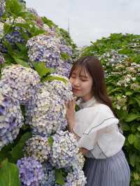 【東京絶景】スカイツリーと紫陽花