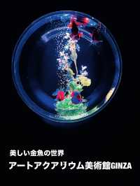 【東京都】雨の日観光にもおすすめ『アートアクアリウム美術館』