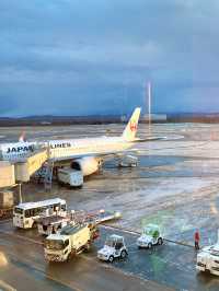 北海道　札幌観光　羽田へJAL最新鋭のA350-900で快適フライト！
