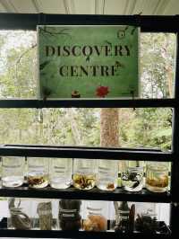 Explore The Habitat Penang Hill