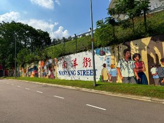 Vibrant Street Vibes at Nanyang Street in Mount Austin