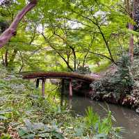 〜東京都〜六義園(りくぎえん)美しい日本庭園！穴場スポット