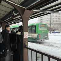 Japan-Hokkaido Travel 