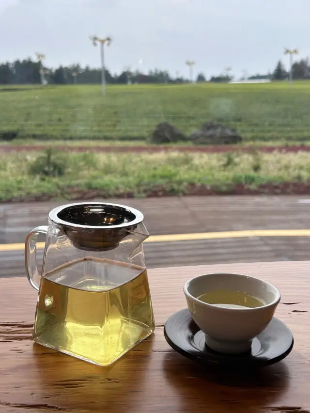 A Wide Open View of Sumang Tea Garden