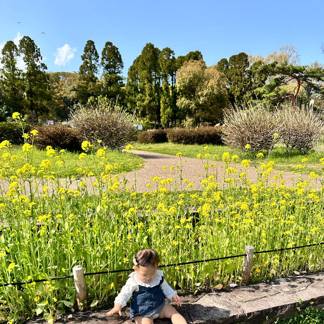 【大阪】お花を見ながらピクニック🧺が楽しめる鶴見緑地公園