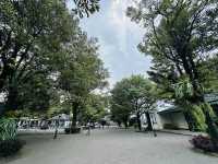A must-visit Royal Palace in Yogyakarta
