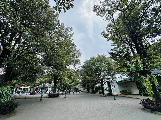 A must-visit Royal Palace in Yogyakarta