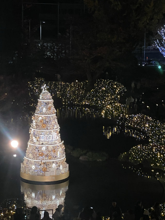 【期間限定】美しすぎるDIOR popup✨