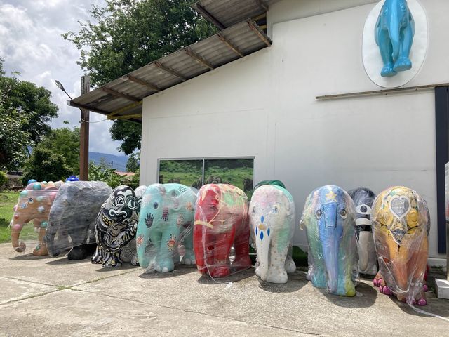 Elephant Parade Land เชียงใหม่