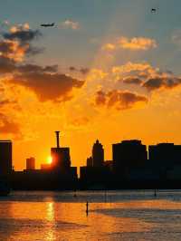 【東京台場】富士電視台觀景台🏖️，海濱公園夜景，半天遊玩足夠🔥🔥
