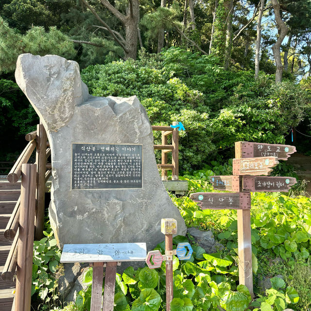 제주여행🏝️ 여덟번째 오름, 환상적인 뷰를 자랑하는 식산봉💚