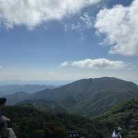 暑さも吹き飛ぶ避暑地！美味しい食事を楽しんだ後はロープウェイで標高1180mの世界へ