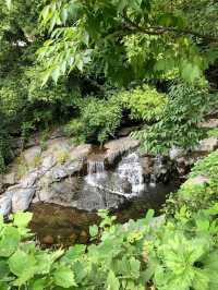 대구 비슬산 계곡 물놀이 🏞 평상 대여 가능한 곳