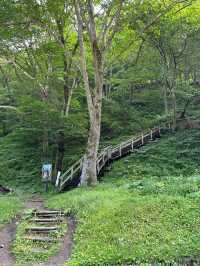 💚 홋카이도의 여름 산의 자연경관을 흠뻑 느껴보실 수 있는 명승지 스팟 🏞️💚