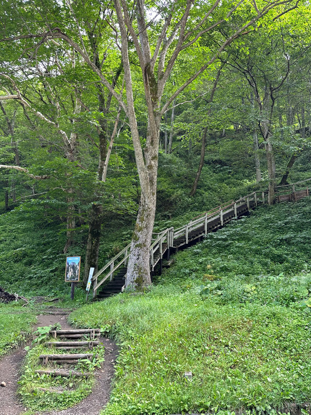 💚 홋카이도의 여름 산의 자연경관을 흠뻑 느껴보실 수 있는 명승지 스팟 🏞️💚
