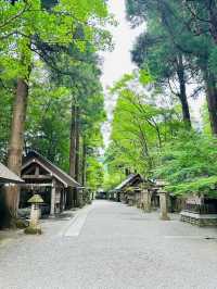🇯🇵 北九州高千穗 一日自駕遊攻略 🌳大自然之旅⛰️