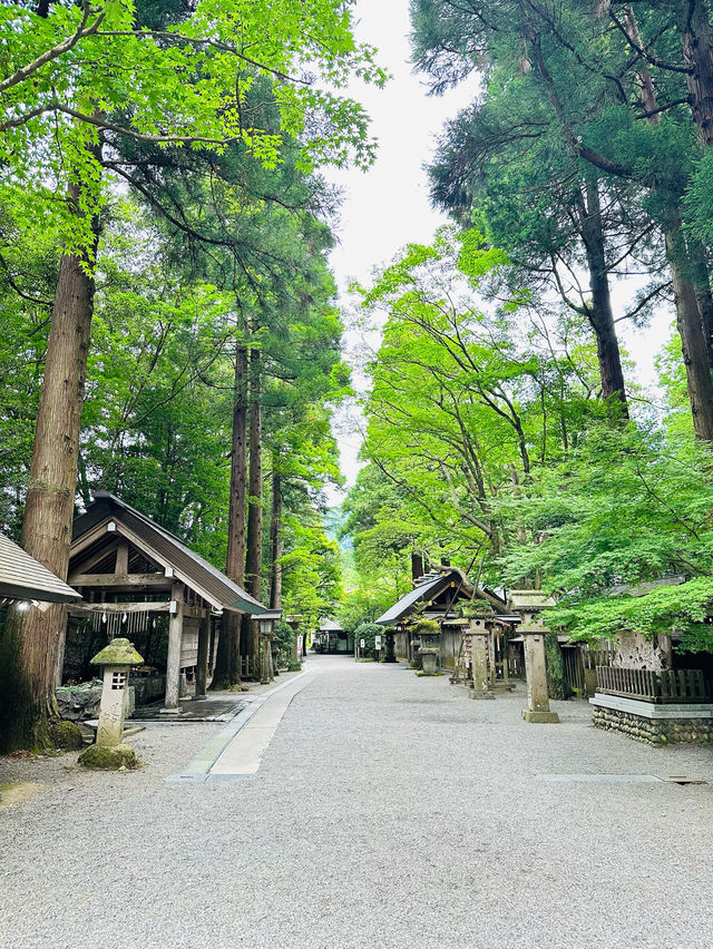 🇯🇵 北九州高千穗 一日自駕遊攻略 🌳大自然之旅⛰️