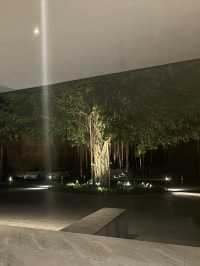 Pullman khaolak resort ถูกและดี ต้องมาที่นี่!