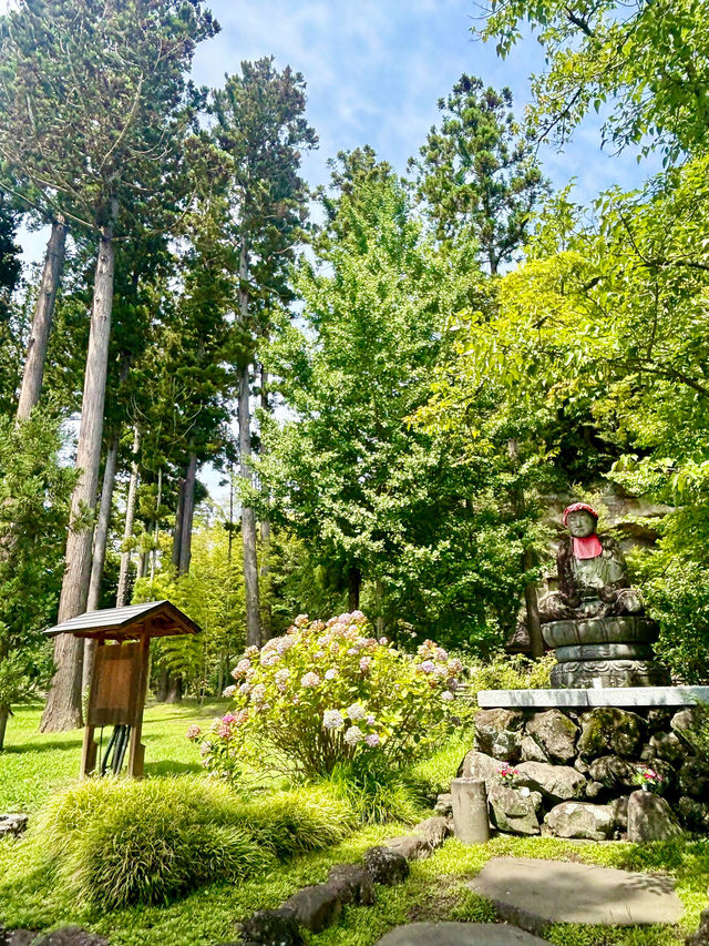 【日本東北】松島瑞嚴寺：莊嚴肅穆的三十三尊觀音像