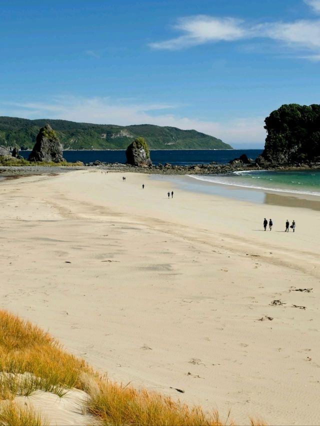 Road Trip to Fiordland National Park