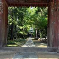 善德寺🏛️古雅寧靜