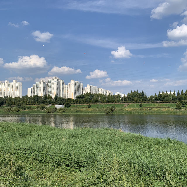 다사 죽곡 대나무숲, 자연의 평화로움을 느끼기에 좋은 장소