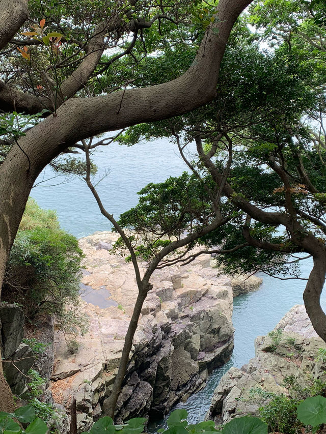 숲과 바다를 함께 볼 수 있는 여수 오동도 동백섬