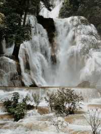 KUANG SI WATERFALL - Luang Prabang Laos 