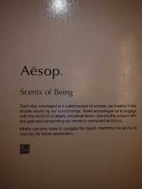 Aesop's 'Scent of Being' Exhibition at Singapore Design Centre