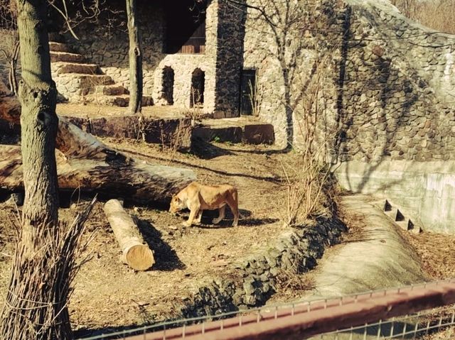 一個努力撇除蘇聯味道的動物園