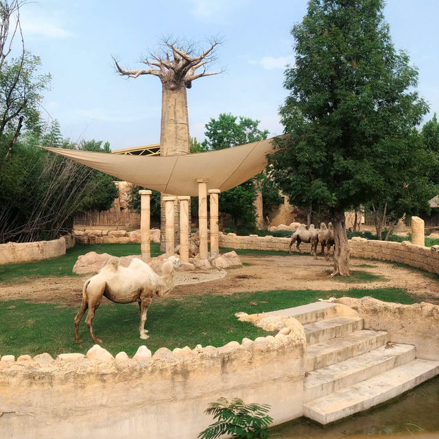 【濟南動物園】優美環境動物世界 【濟南動物園】優美環境動物世界