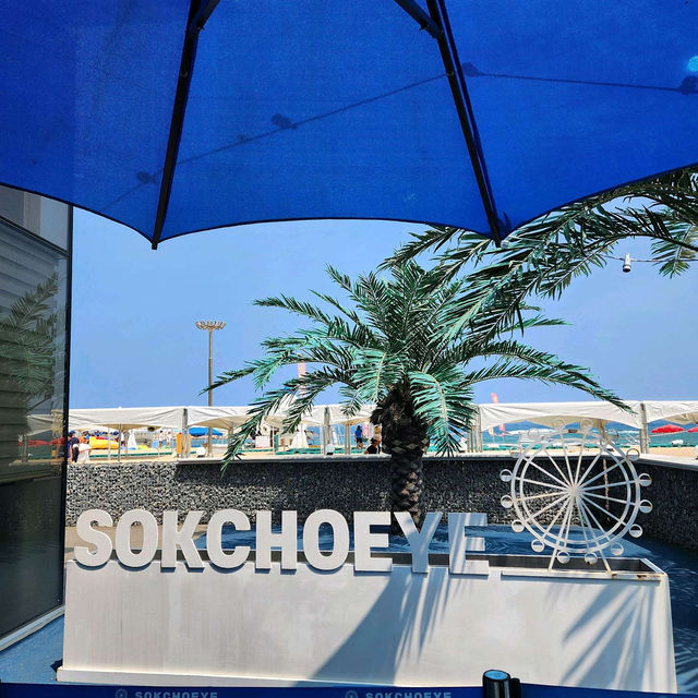 🎡🔖레저추천 속초아이대관람차
