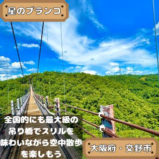 สะพานแขวนในป่าจังหวัด