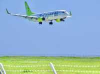 【沖縄・下地島】海と飛行機好きのパラダイス✈️