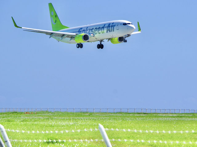 【沖縄・下地島】海と飛行機好きのパラダイス✈️