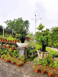 A Day at AGRO Nursery, Adda Heights