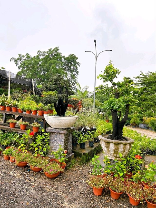 A Day at AGRO Nursery, Adda Heights