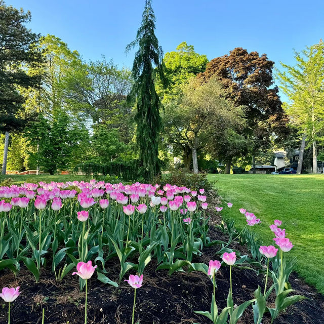 班嘉奇蒂公園🗺️ 綠意盎然的天地