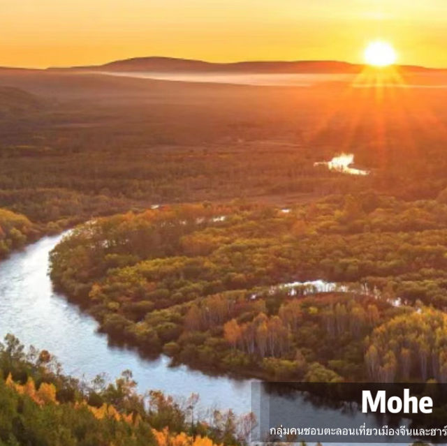 Autumn in Mohe 🍂